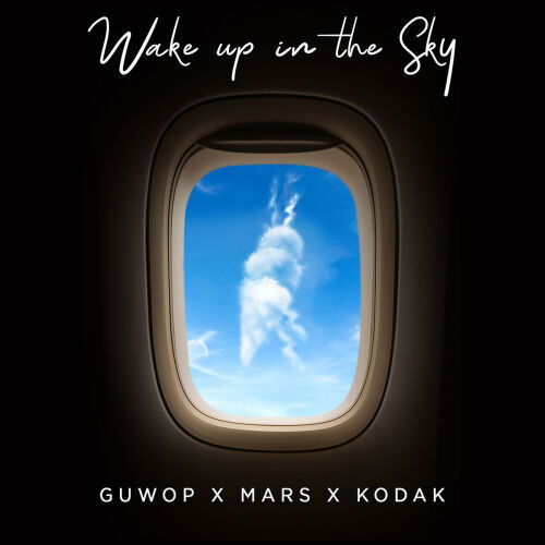 Wake Up In The Sky