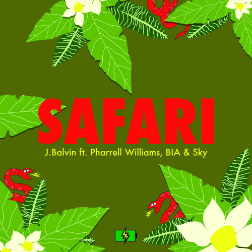 Safari