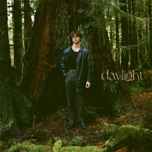 Album art David Kushner - Daylight