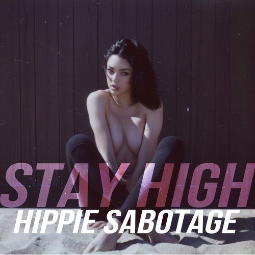 Stay High (Habits Remix)