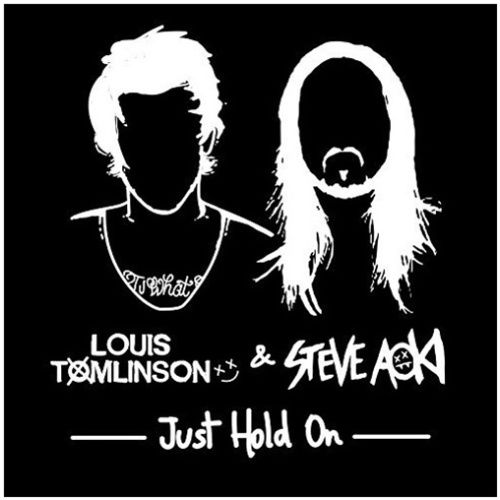 Just Hold On (Steve Aoki Festival Edit)