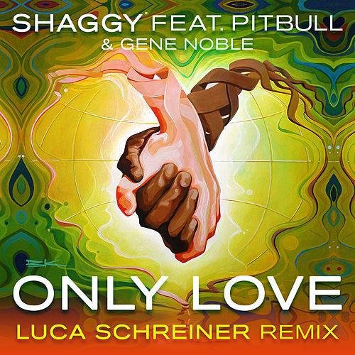 Only Love (Luca Schrenier Island House Mix)