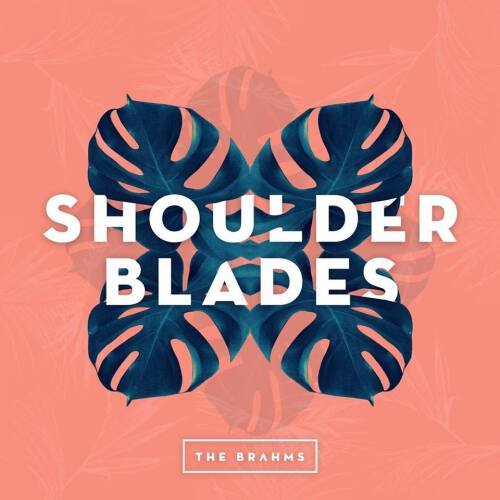 Shoulder Blades