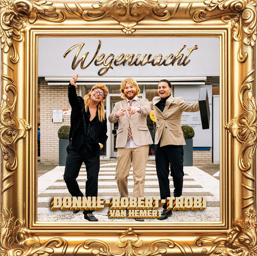 Album art Donnie, Robert van Hemert & Trobi - Wegenwacht