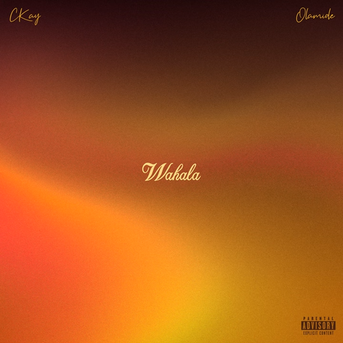 Album art CKay Ft. Olamide - Wahala