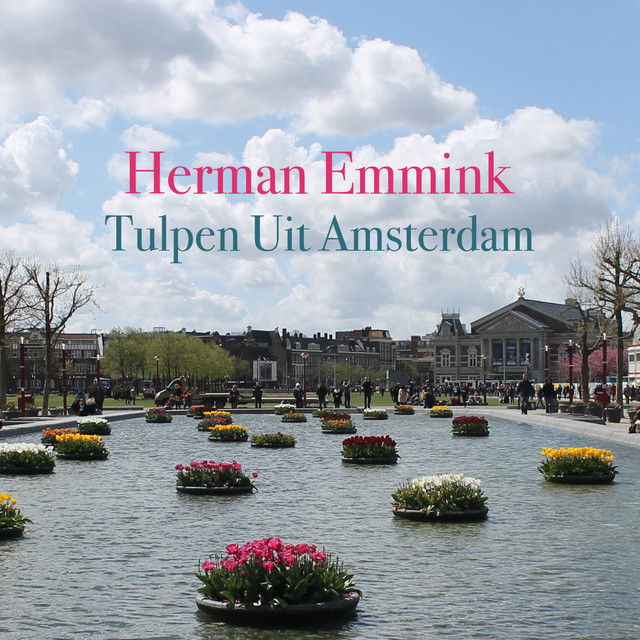 Tulpen uit Amsterdam