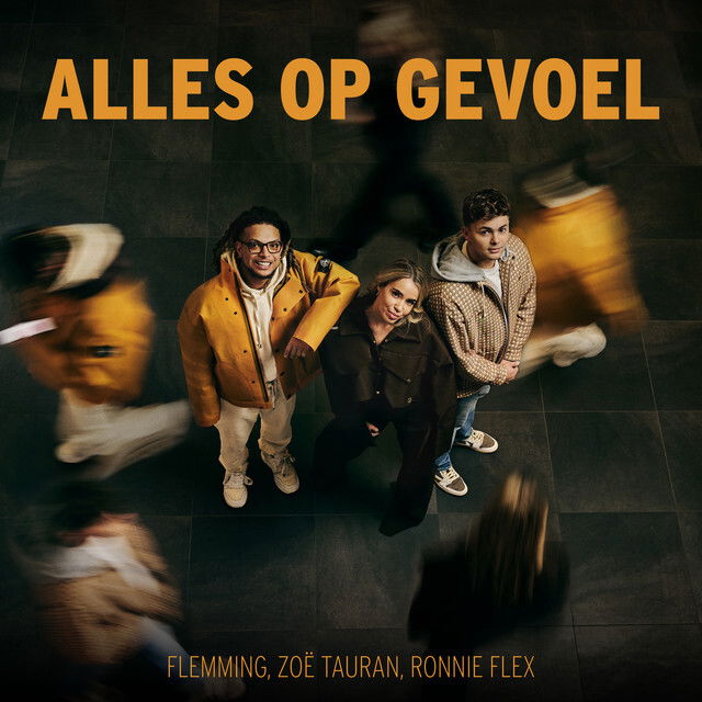 Alles op gevoel